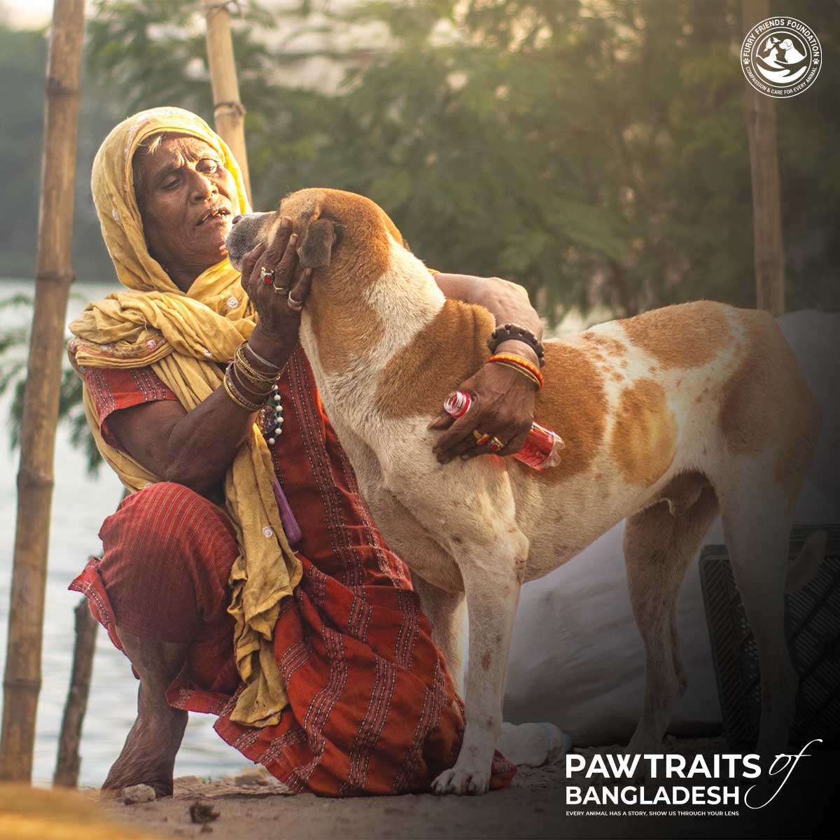 Pawtraits of Bangladesh Banner