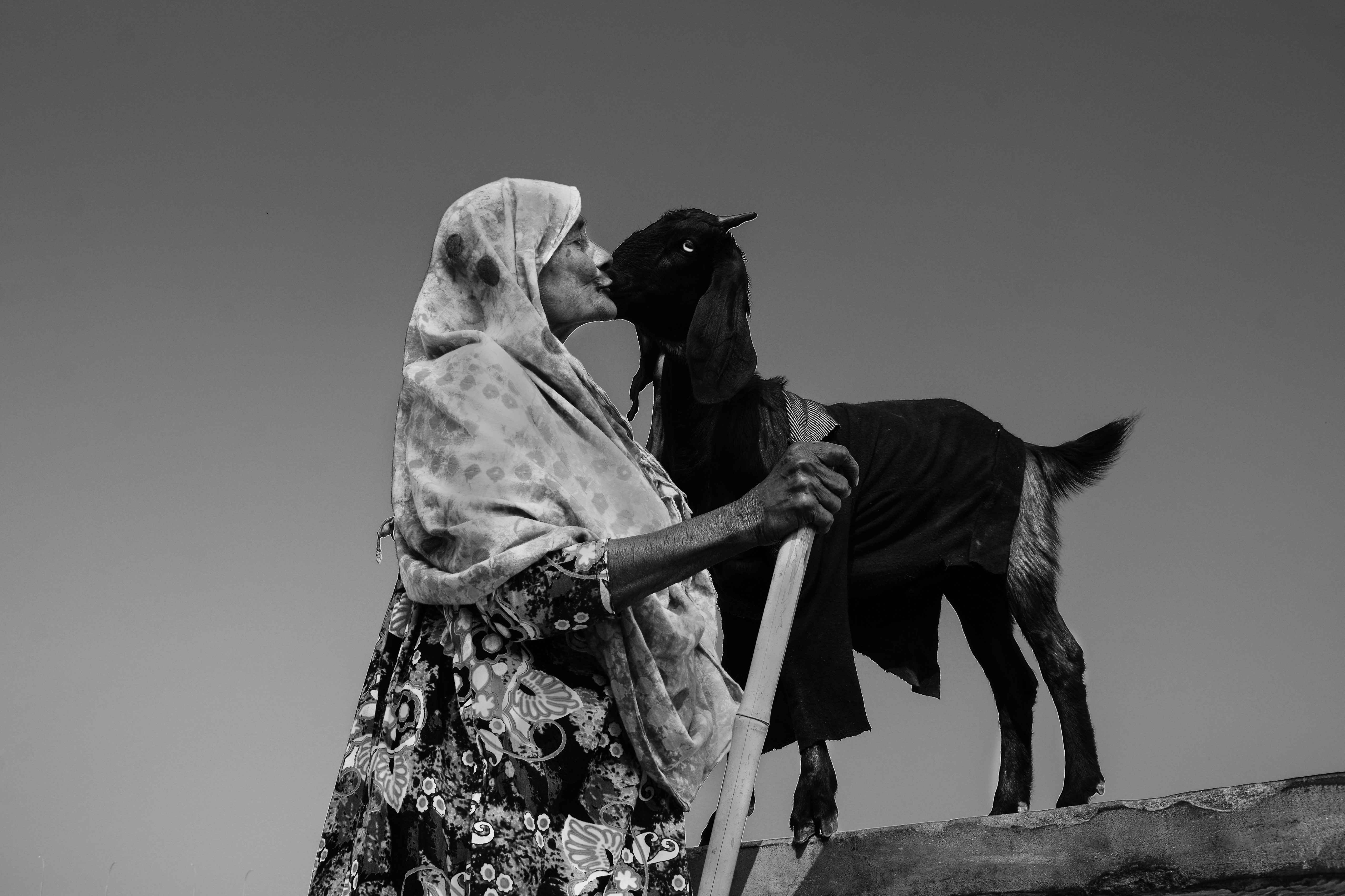 Jibon Kumer Malaker's entry
