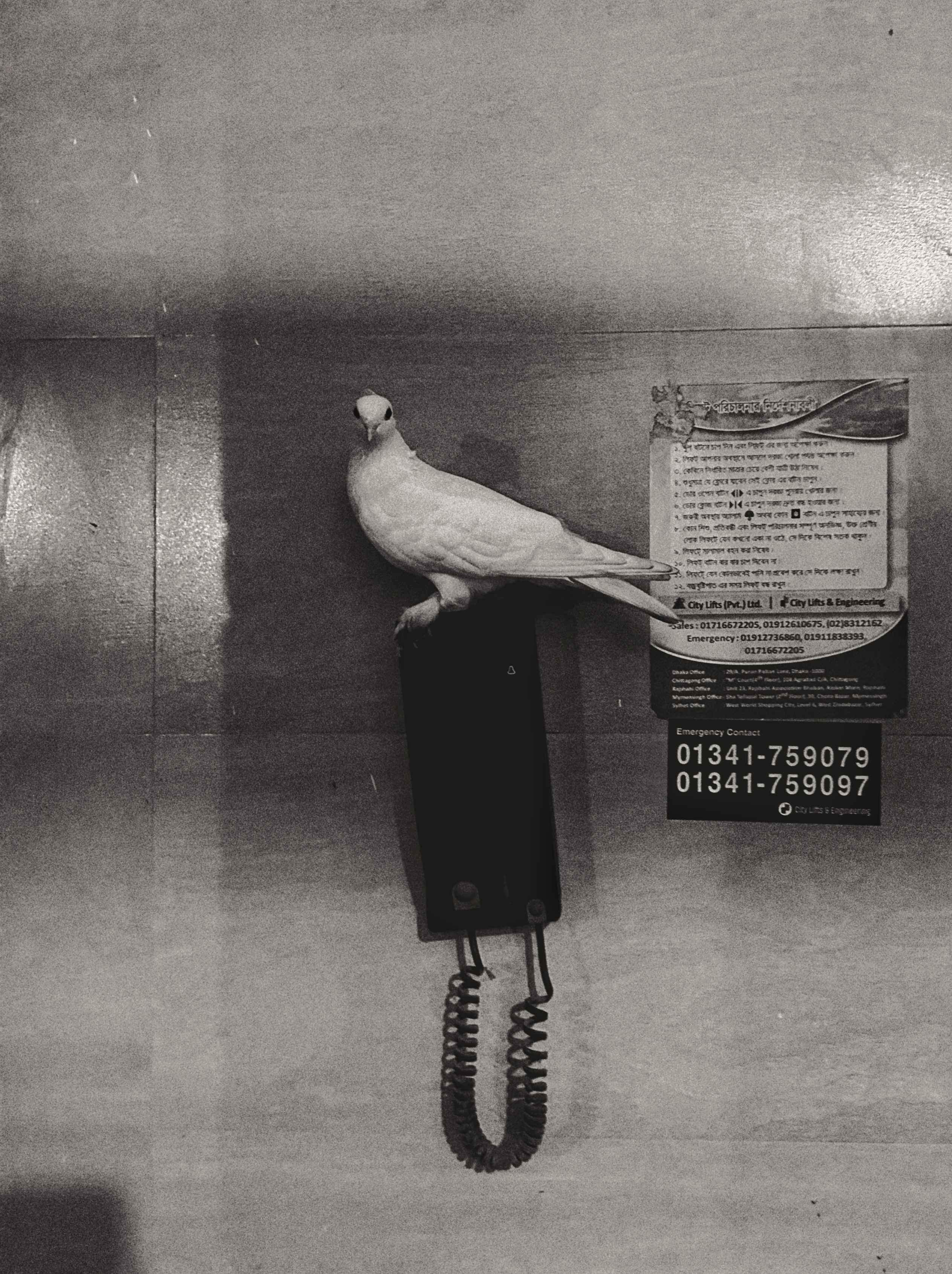 Mohammad Tasawar Islam's entry